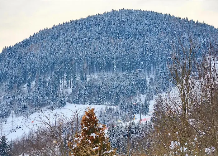 Apartmán Konstanzia - By Alpen *